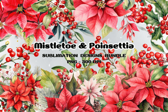 Download Mistletoe Poinsettia Flowers Christmas - Poinsettia Collection