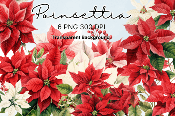 Download Poinsettia Christmas Flowers Clipart - Poinsettia Collection